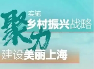 上海市人民政府辦公廳印發(fā)《關(guān)于進一步促進新型農(nóng)村集體經(jīng)濟高質(zhì)量發(fā)展的若干措施》的通知