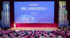 關(guān)于印發(fā)《金山區(qū)文旅產(chǎn)業(yè)2025年招商和服務(wù)一體化工作方案》的通知