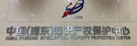浦東新區(qū)人民政府關(guān)于印發(fā)《浦東新區(qū)促進(jìn)知識(shí)產(chǎn)權(quán)運(yùn)用若干規(guī)定》的通知