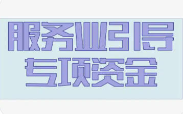 上海市市場(chǎng)監(jiān)管局等關(guān)于印發(fā)《上海市服務(wù)業(yè)發(fā)展引導(dǎo)資金支持廣告方向?qū)嵤┘?xì)則》的通知