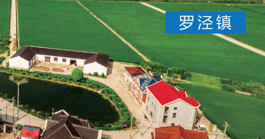 上海市寶山區(qū)羅涇鎮(zhèn)招商引資投資網|企業(yè)投資決策指南